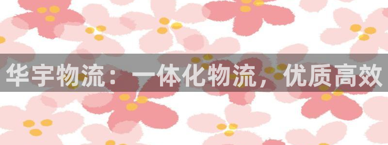 28圈怎么申请代理：华宇物流：一体化