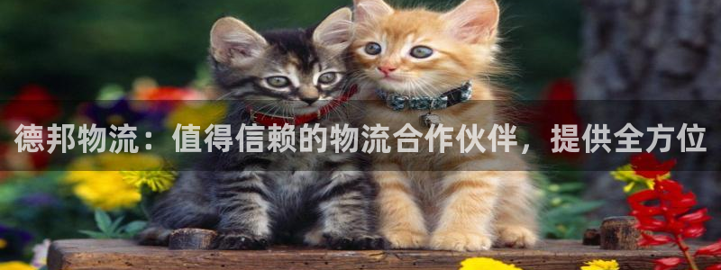 28圈防失联网址
