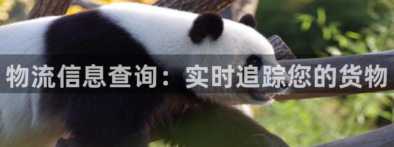 28圈预测加拿大