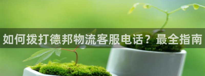 28圈充值为什么充不了：如何拨打德邦