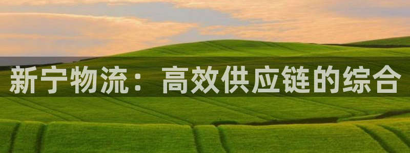 28圈绿骨头：新宁物流：高效供应链的