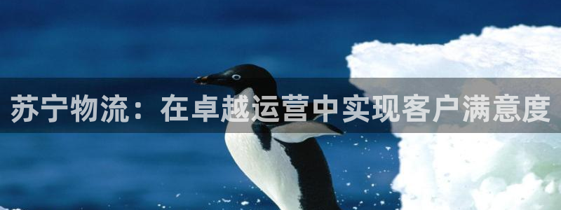 28圈充值不到账怎么回事