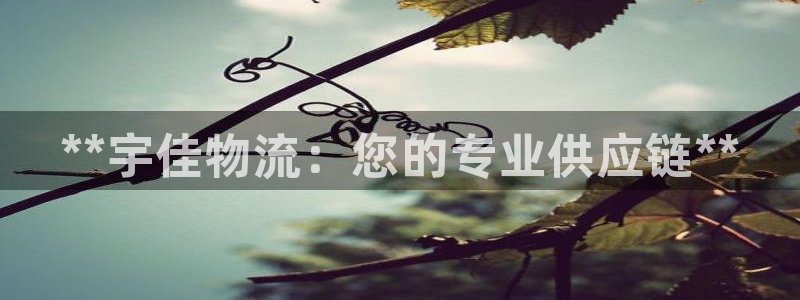 28圈加拿大是什么