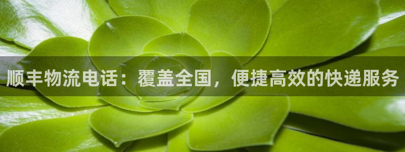 28圈相信品牌的力量：顺丰物流电话：