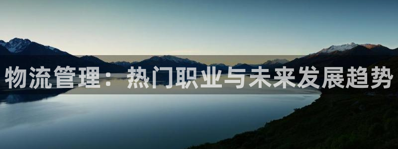 28圈模拟器：物流管理：热门职业与未