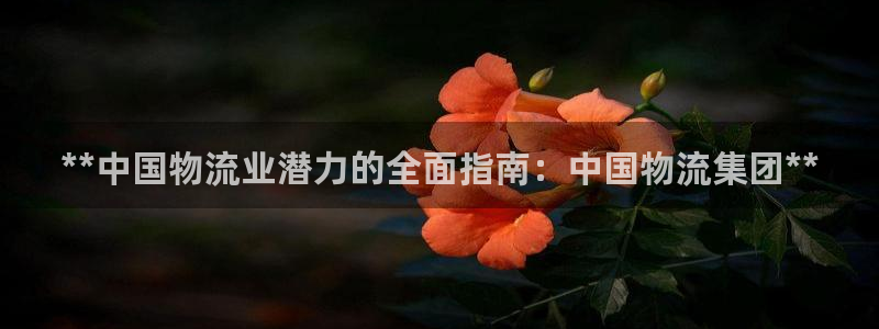 28圈百度百科