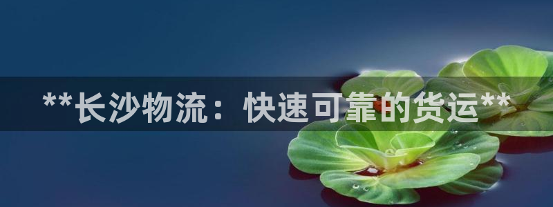 28圈赌博被抓