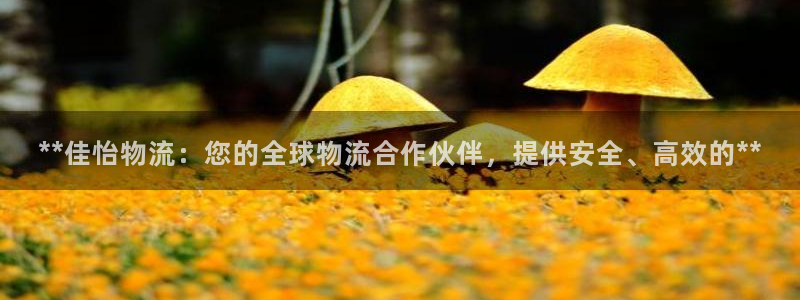 28圈aPP退款