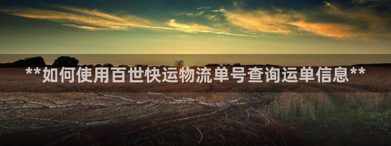 28圈游戏官网平台