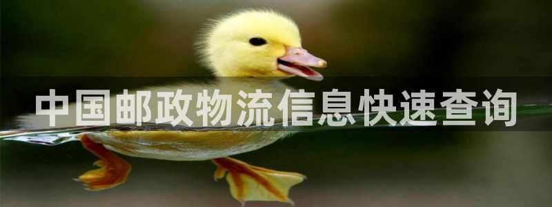 28圈怎么申请代理