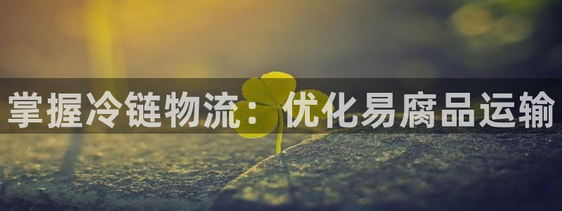 28圈.ccm：掌握冷链物流：优化易