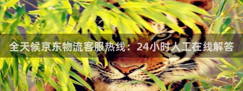 28圈麻将胡了爆分视频