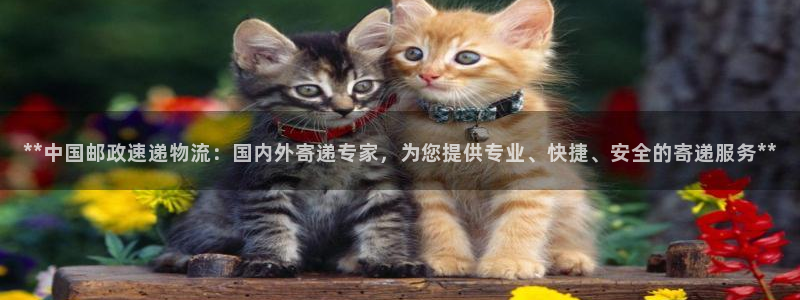 28圈自行车搞笑图片