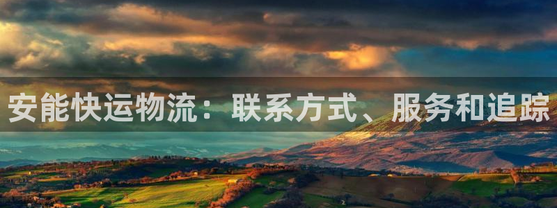 28圈在线预测