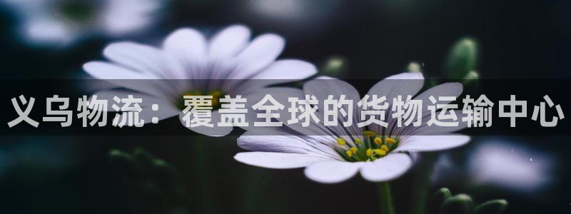 28圈能赢钱吗