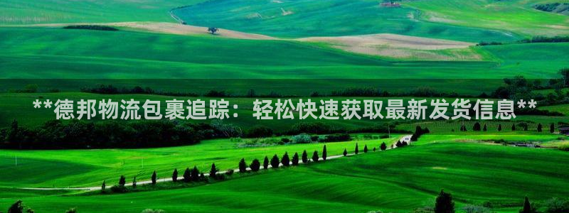 28圈提现不到账