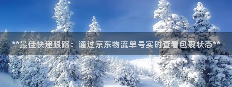 28圈p扣款什么意思