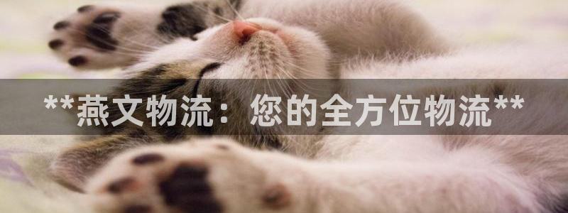 南宫28圈官网