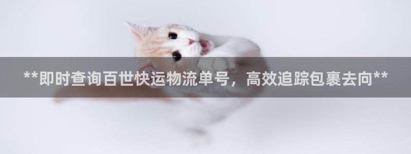 28圈账号注册：**即时查询百世快运