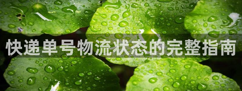 28圈官网网站