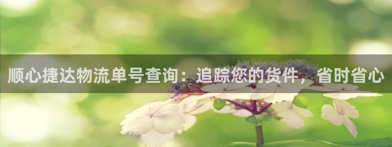 28圈v6能卖多少