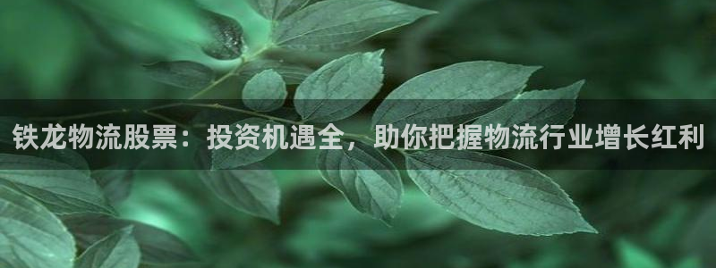 28圈官方网站是多少