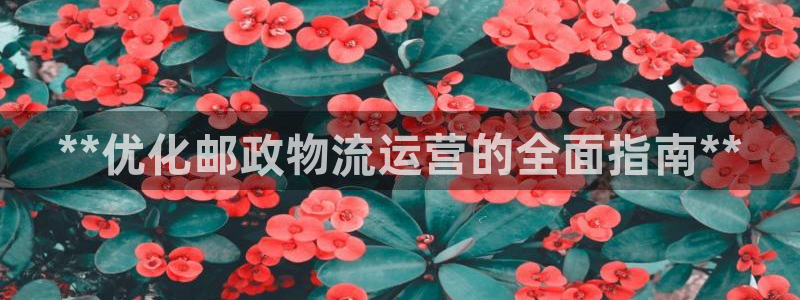 28圈充值