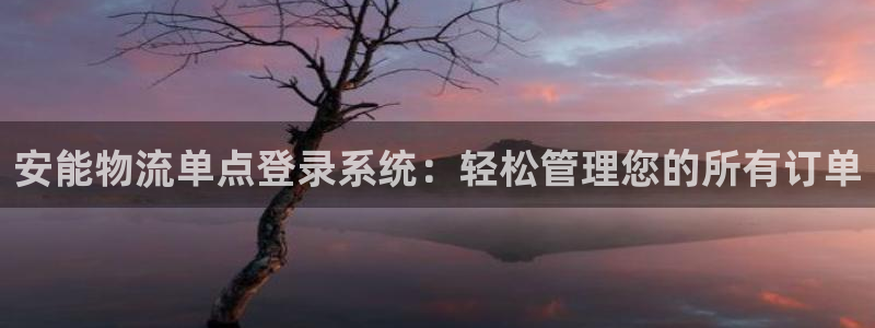 28圈网赌案件：安能物流单点登录系统