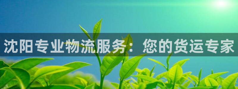 28圈最稳打法：沈阳专业物流服务：您