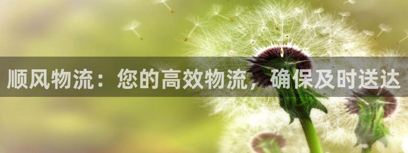 28圈机器人是什么软件