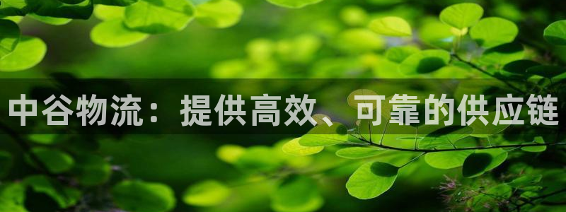 28圈连输10天：中谷物流：提供高效