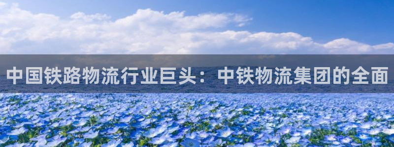 28圈加拿大app预测