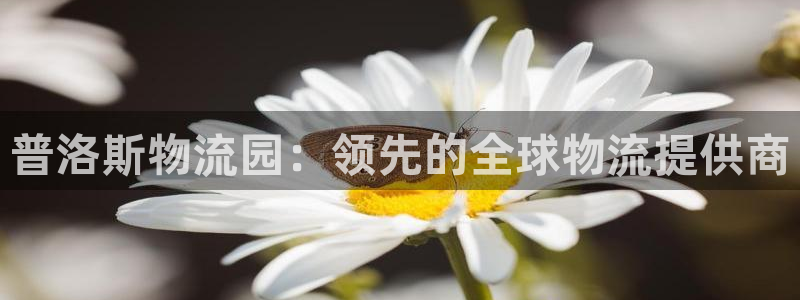 28圈可以退款吗