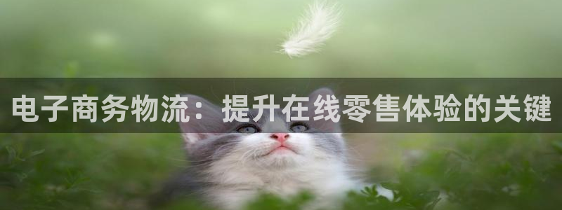 28圈能不能退：电子商务物流：提升在
