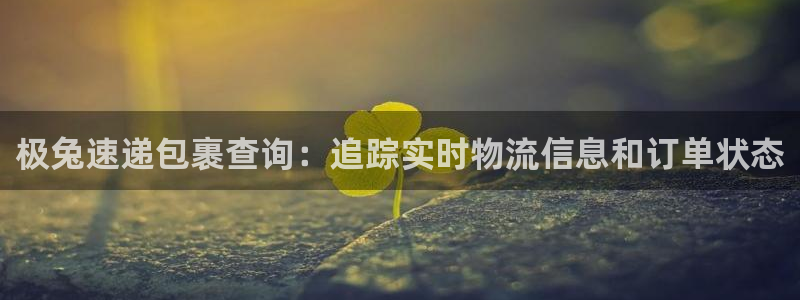 28圈加拿大怎么玩