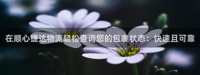 28圈连接