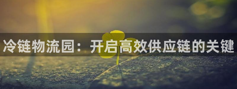 28圈自行车图片
