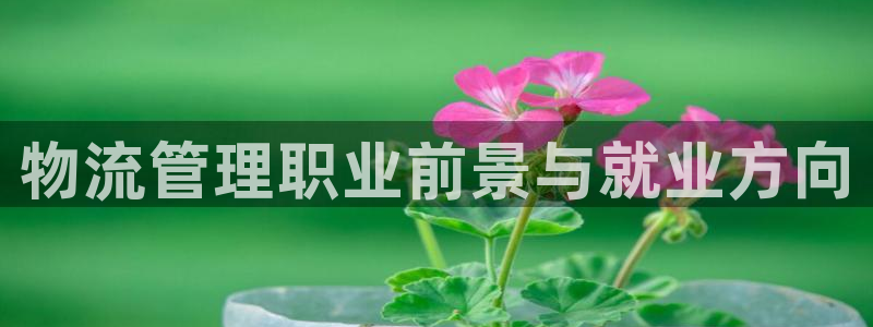 28圈游戏链接