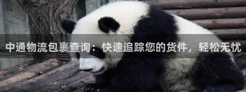 28圈官方网站预测：中通物流包裹查询