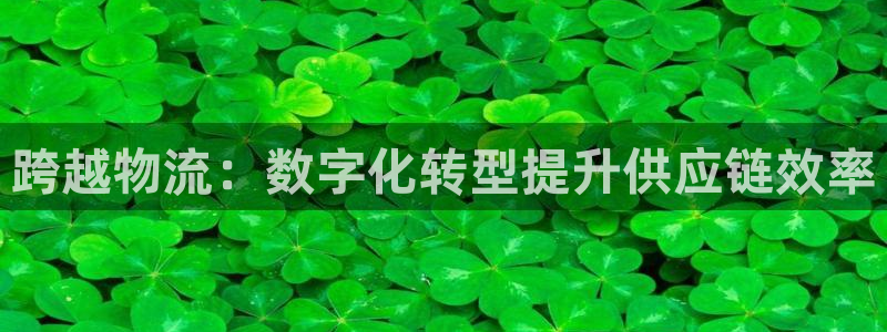 28圈官网链接