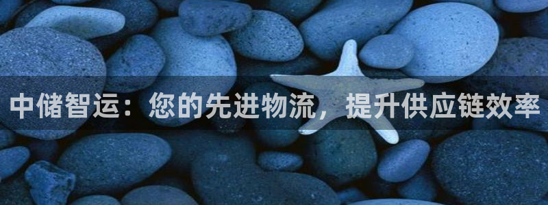 28圈链官网