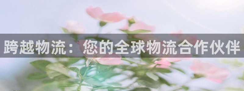 28圈官网版2024