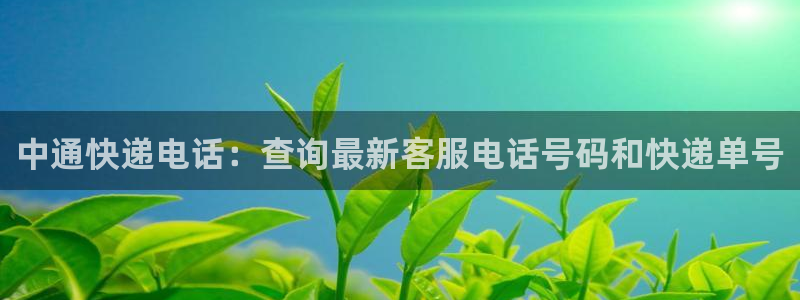 28圈大神预测