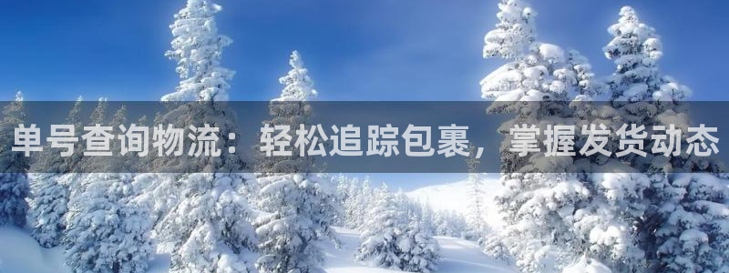 28圈p图上分下款通道