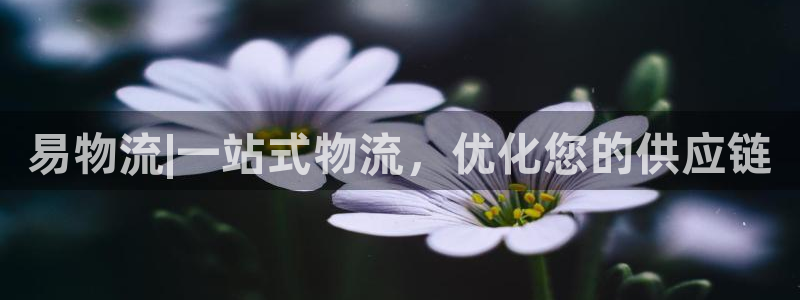 28圈模拟