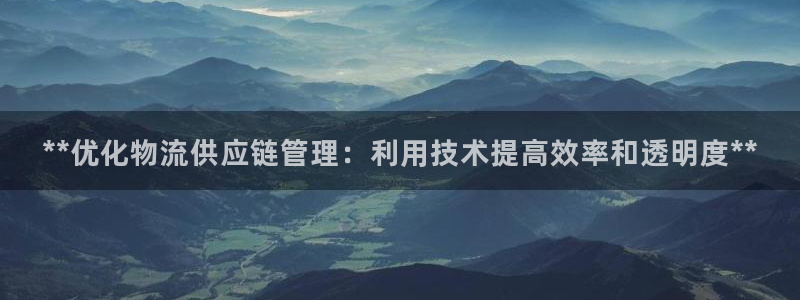 28圈电子游戏：**优化物流供应链管