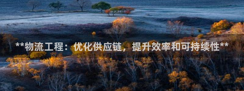28圈怎么注册游戏名字：**物流工程