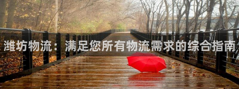 28圈官网多少