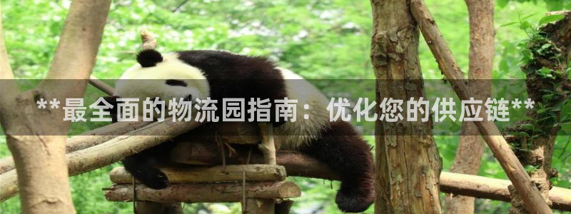 28圈下分了不给钱
