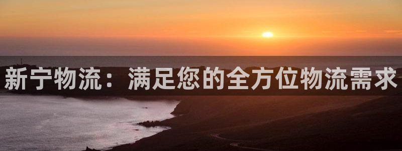28圈注册登录流程：新宁物流：满足您